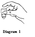 image1.png