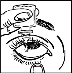 image3.png