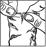 image1.png