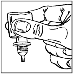 image2.png